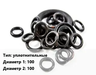 Кольцо РТИ уплотнительные D=100х100